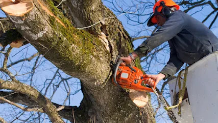 Waites Tree Service LLC
